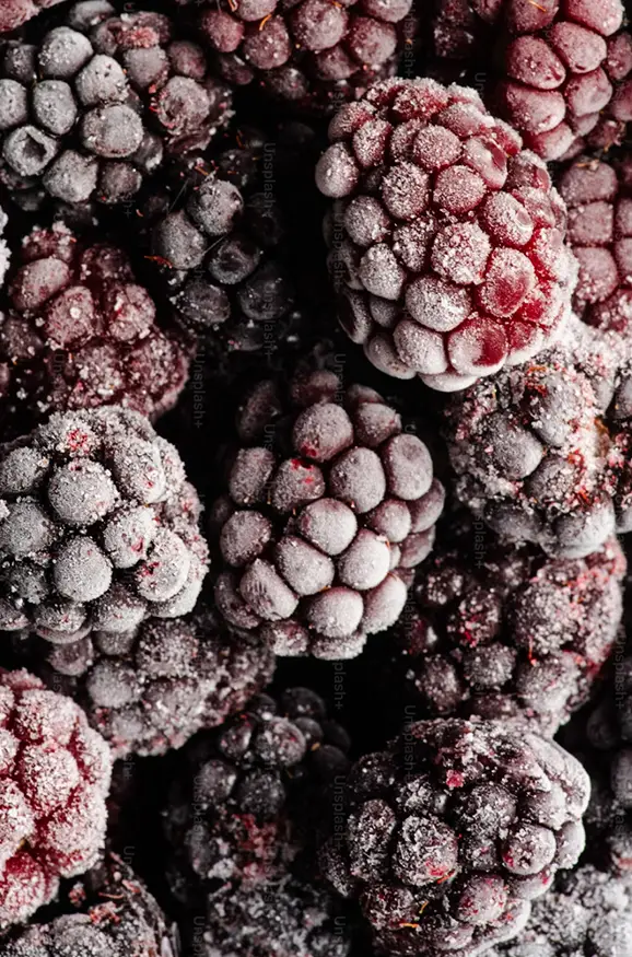 Dondurulmuş Böğürtlen