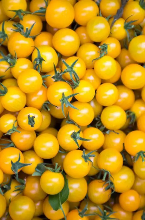 Dondurulmuş Sarı Cherry Domates