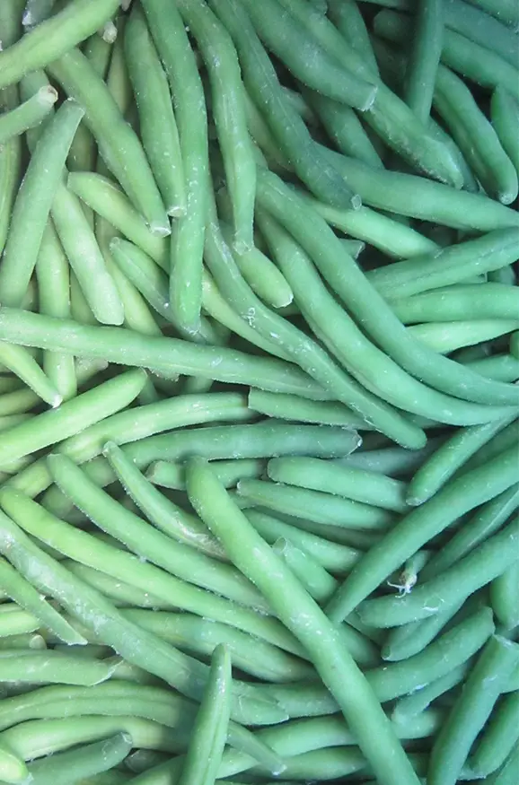 Dondurulmuş Fasulye