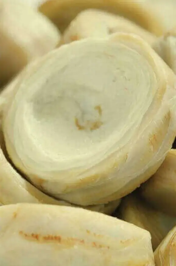 Dondurulmuş Enginar